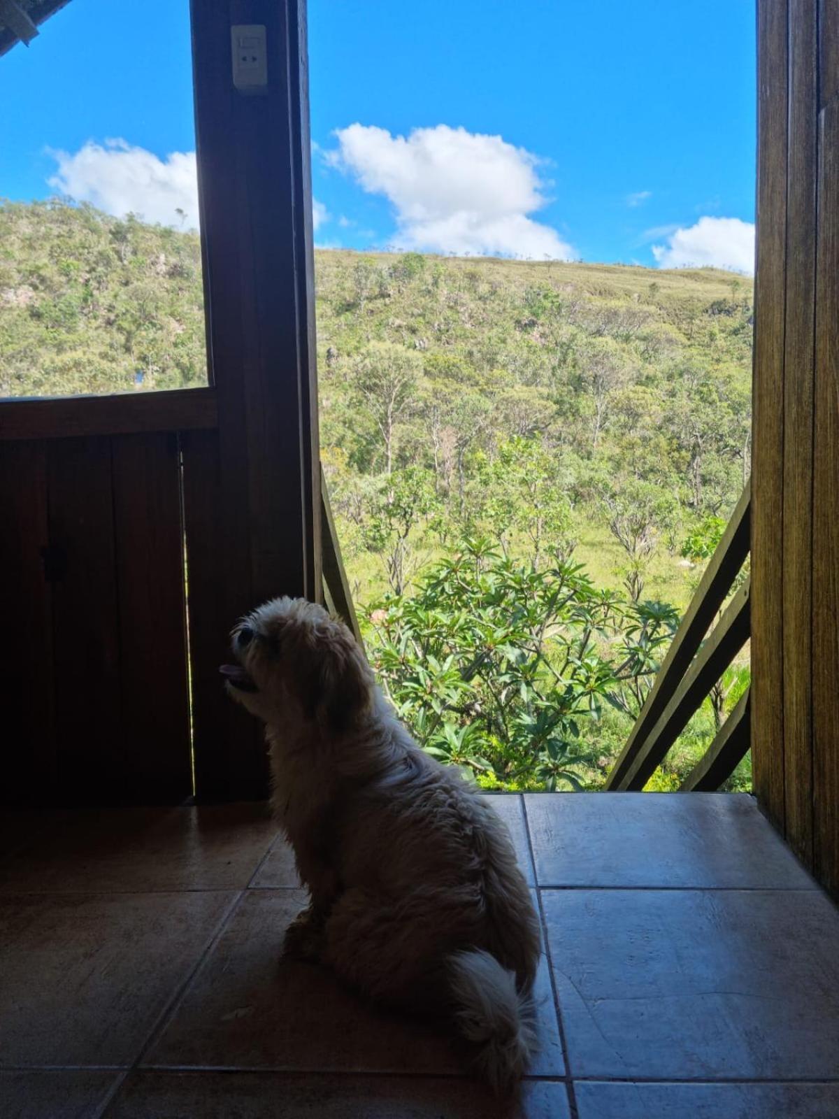 Alto Paraíso de Goiás Cachoeira E Pousada Paraiso Dos Pandavas מראה חיצוני תמונה